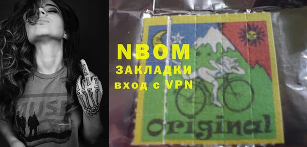 стаф Белокуриха