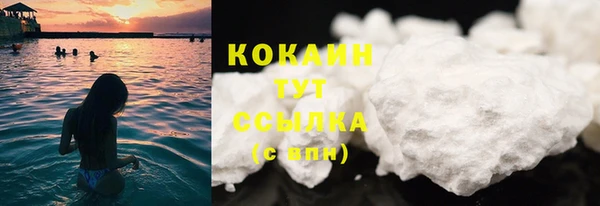 стаф Белокуриха