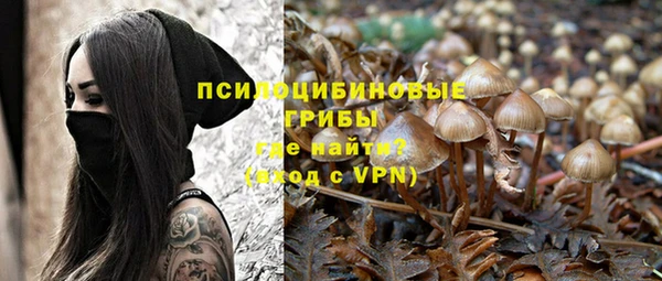 стаф Белокуриха