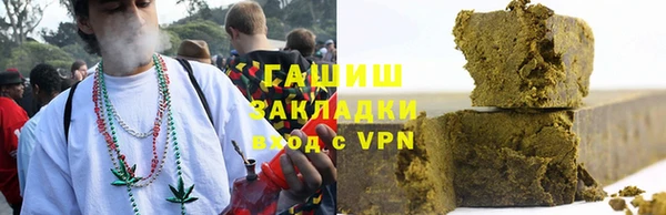индика Балахна