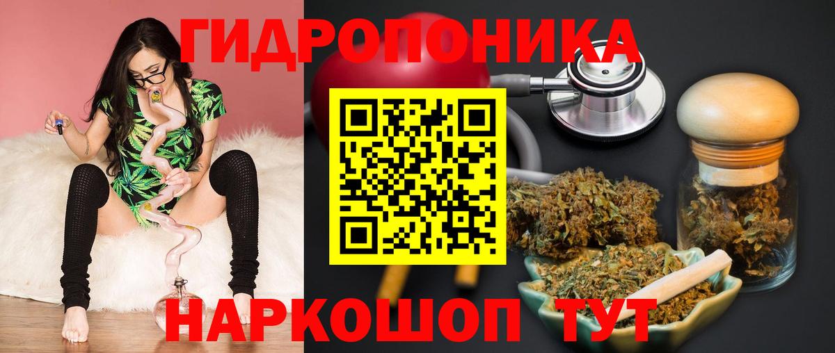 Кстово  Бошки Шишки сатива  Вход с VPN  Бошки марихуана White Widow  Канабис семена 
